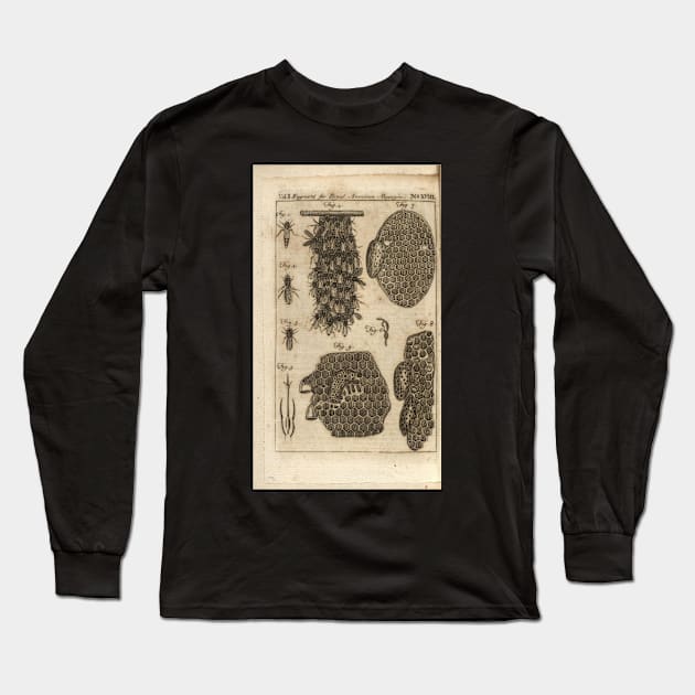 The bees 1774 - Paul Revere Long Sleeve T-Shirt by Kollagio